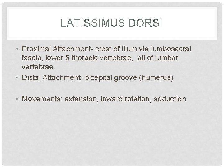 LATISSIMUS DORSI • Proximal Attachment- crest of ilium via lumbosacral fascia, lower 6 thoracic