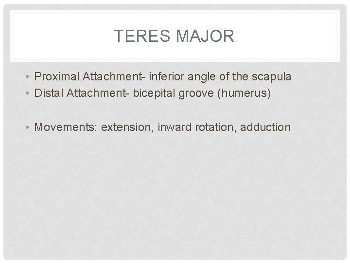 TERES MAJOR • Proximal Attachment- inferior angle of the scapula • Distal Attachment- bicepital