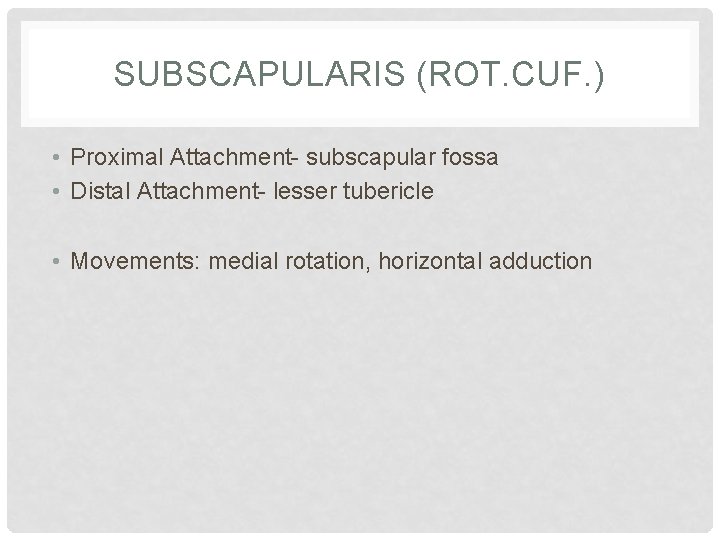 SUBSCAPULARIS (ROT. CUF. ) • Proximal Attachment- subscapular fossa • Distal Attachment- lesser tubericle