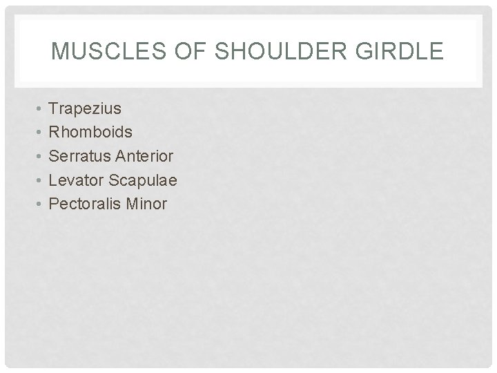 MUSCLES OF SHOULDER GIRDLE • • • Trapezius Rhomboids Serratus Anterior Levator Scapulae Pectoralis