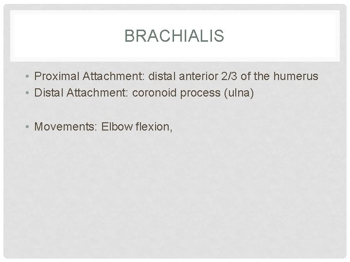 BRACHIALIS • Proximal Attachment: distal anterior 2/3 of the humerus • Distal Attachment: coronoid