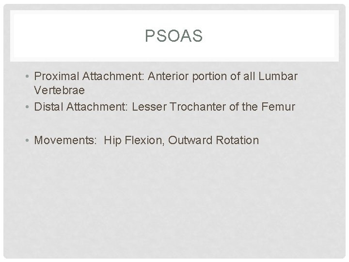 PSOAS • Proximal Attachment: Anterior portion of all Lumbar Vertebrae • Distal Attachment: Lesser