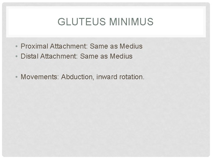 GLUTEUS MINIMUS • Proximal Attachment: Same as Medius • Distal Attachment: Same as Medius