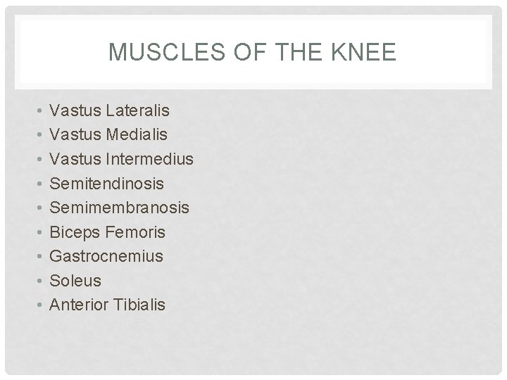 MUSCLES OF THE KNEE • • • Vastus Lateralis Vastus Medialis Vastus Intermedius Semitendinosis