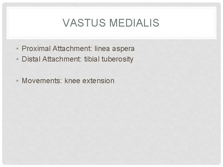 VASTUS MEDIALIS • Proximal Attachment: linea aspera • Distal Attachment: tibial tuberosity • Movements: