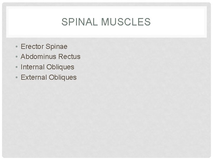 SPINAL MUSCLES • • Erector Spinae Abdominus Rectus Internal Obliques External Obliques 