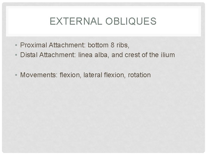 EXTERNAL OBLIQUES • Proximal Attachment: bottom 8 ribs, • Distal Attachment: linea alba, and