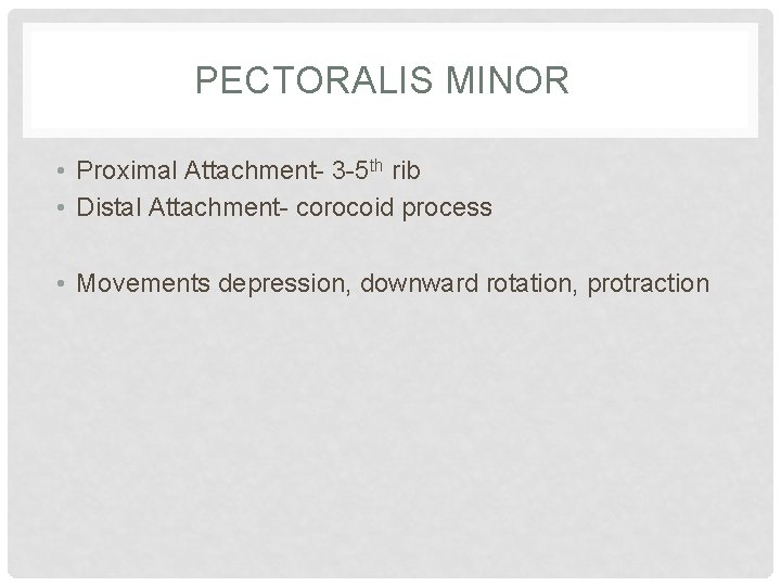 PECTORALIS MINOR • Proximal Attachment- 3 -5 th rib • Distal Attachment- corocoid process