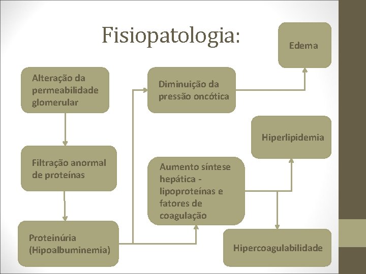 Fisiopatologia: Alteração da permeabilidade glomerular Edema Diminuição da pressão oncótica Hiperlipidemia Filtração anormal de