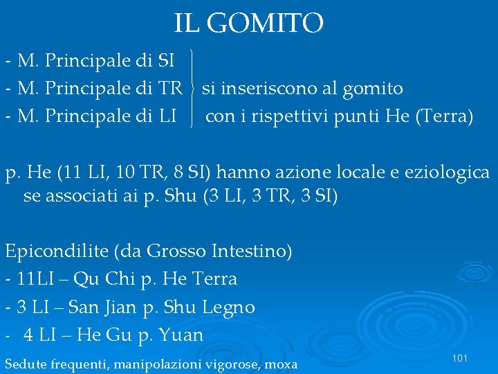 IL GOMITO - M. Principale di SI - M. Principale di TR si inseriscono