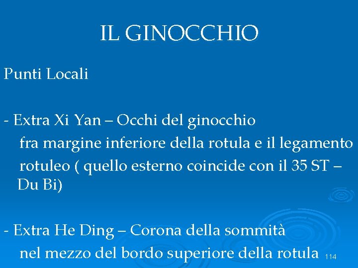 IL GINOCCHIO Punti Locali - Extra Xi Yan – Occhi del ginocchio fra margine