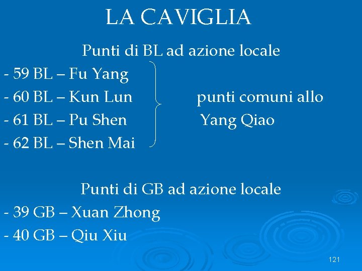 LA CAVIGLIA Punti di BL ad azione locale - 59 BL – Fu Yang