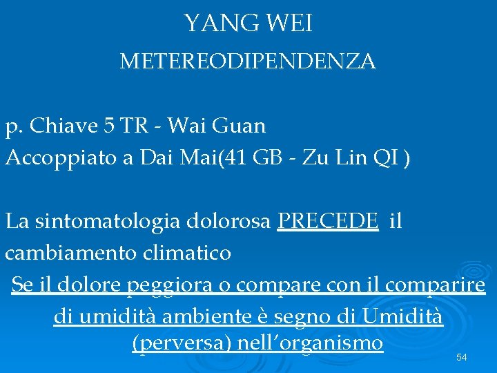 YANG WEI METEREODIPENDENZA p. Chiave 5 TR - Wai Guan Accoppiato a Dai Mai(41