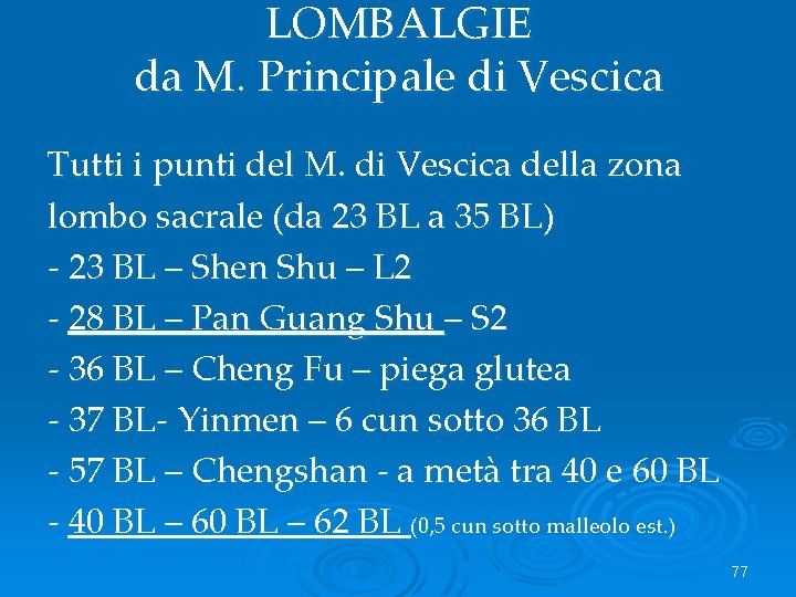 LOMBALGIE da M. Principale di Vescica Tutti i punti del M. di Vescica della