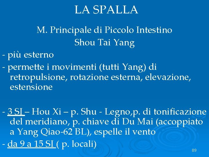 LA SPALLA M. Principale di Piccolo Intestino Shou Tai Yang - più esterno -