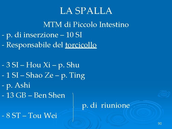 LA SPALLA MTM di Piccolo Intestino - p. di inserzione – 10 SI -