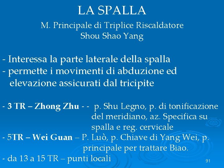 LA SPALLA M. Principale di Triplice Riscaldatore Shou Shao Yang - Interessa la parte