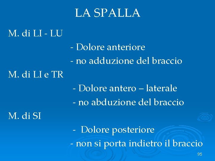 LA SPALLA M. di LI - LU - Dolore anteriore - no adduzione del