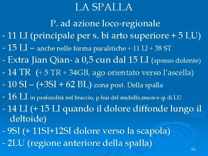 LA SPALLA P. ad azione loco-regionale - 11 LI (principale per s. bi arto