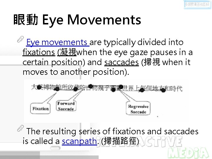 眼動 Eye Movements Eye movements are typically divided into fixations (凝視when the eye gaze