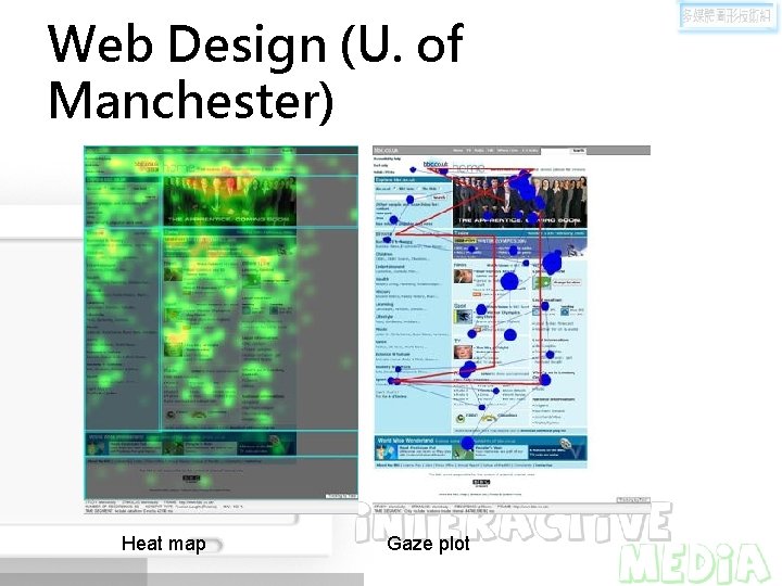 Web Design (U. of Manchester) Heat map Gaze plot 