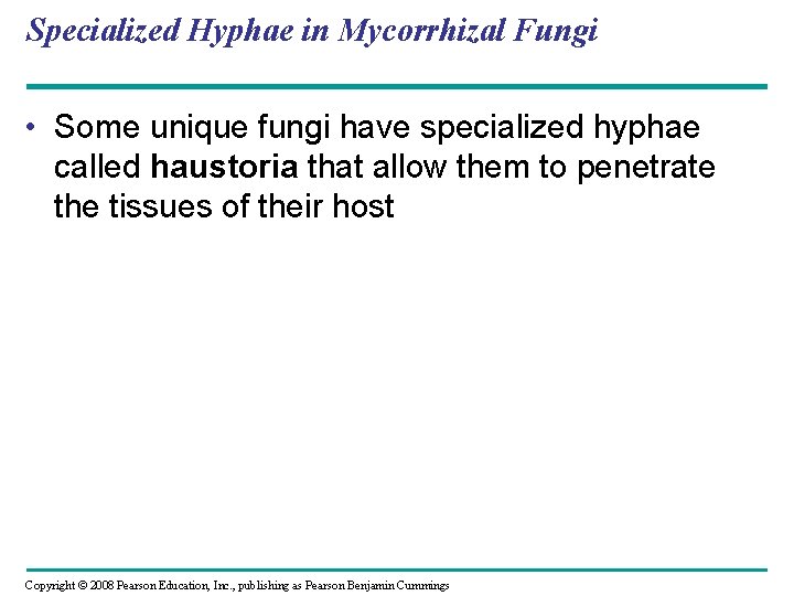 Specialized Hyphae in Mycorrhizal Fungi • Some unique fungi have specialized hyphae called haustoria