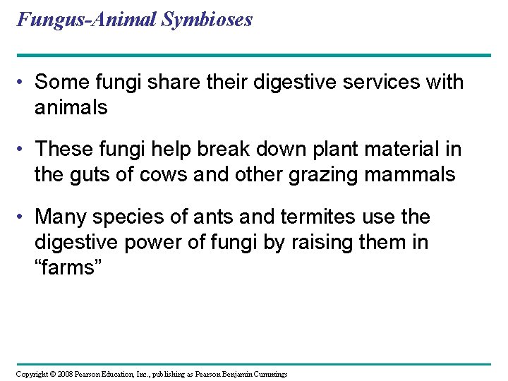 Fungus-Animal Symbioses • Some fungi share their digestive services with animals • These fungi