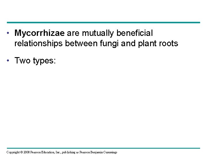  • Mycorrhizae are mutually beneficial relationships between fungi and plant roots • Two
