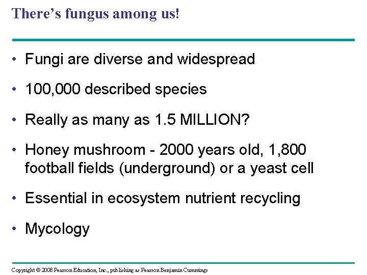 There’s fungus among us! • Fungi are diverse and widespread • 100, 000 described