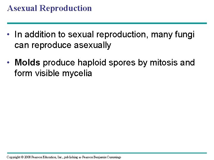 Asexual Reproduction • In addition to sexual reproduction, many fungi can reproduce asexually • Asexual Reproduction • In addition to sexual reproduction, many fungi can reproduce asexually •