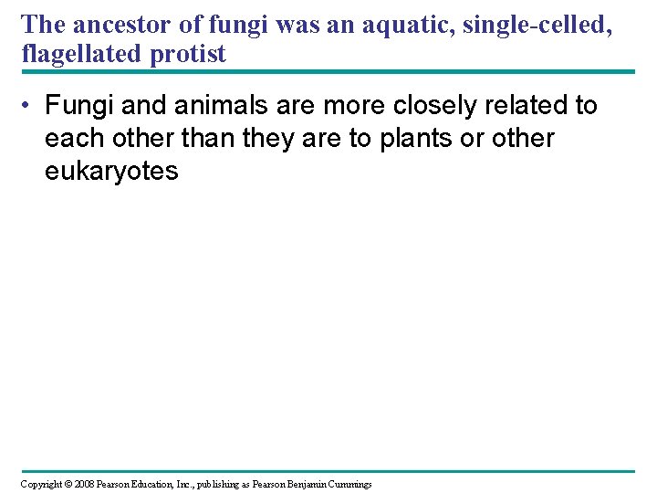 The ancestor of fungi was an aquatic, single-celled, flagellated protist • Fungi and animals