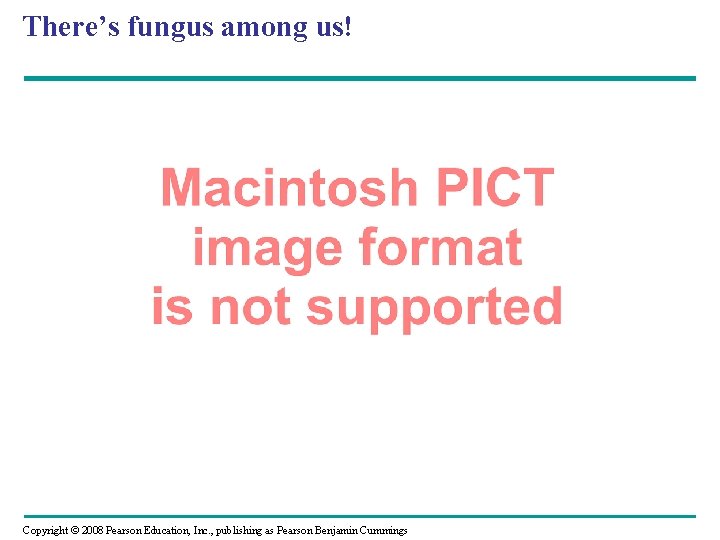 There’s fungus among us! Copyright © 2008 Pearson Education, Inc. , publishing as Pearson There’s fungus among us! Copyright © 2008 Pearson Education, Inc. , publishing as Pearson