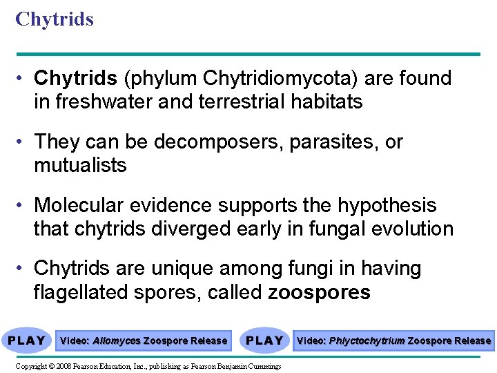 Chytrids • Chytrids (phylum Chytridiomycota) are found in freshwater and terrestrial habitats • They Chytrids • Chytrids (phylum Chytridiomycota) are found in freshwater and terrestrial habitats • They