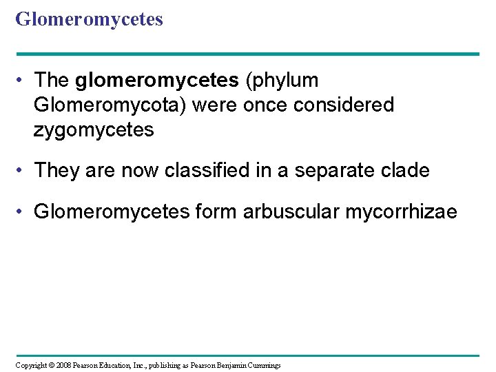 Glomeromycetes • The glomeromycetes (phylum Glomeromycota) were once considered zygomycetes • They are now