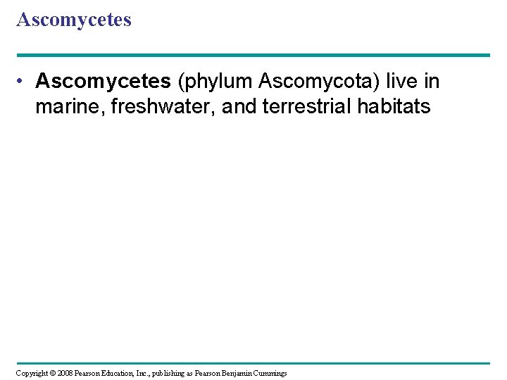 Ascomycetes • Ascomycetes (phylum Ascomycota) live in marine, freshwater, and terrestrial habitats Copyright ©