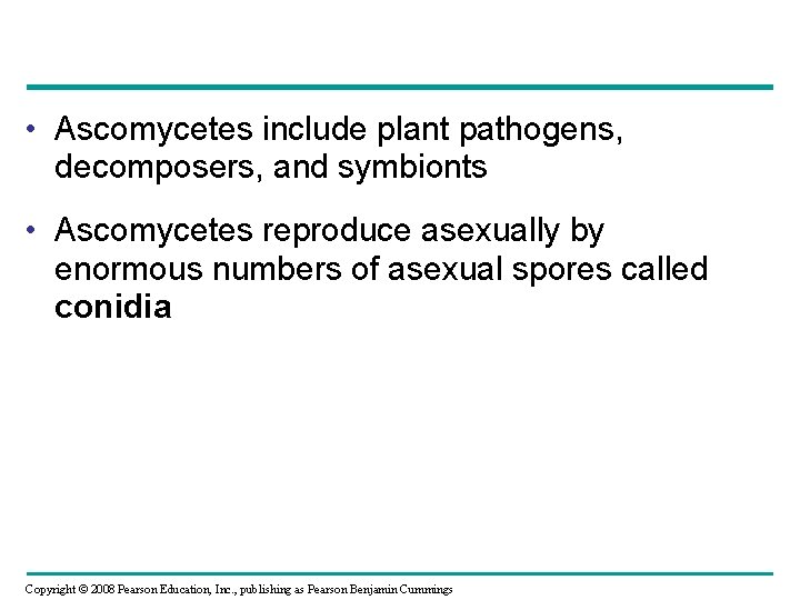  • Ascomycetes include plant pathogens, decomposers, and symbionts • Ascomycetes reproduce asexually by