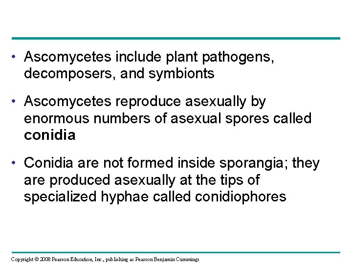  • Ascomycetes include plant pathogens, decomposers, and symbionts • Ascomycetes reproduce asexually by