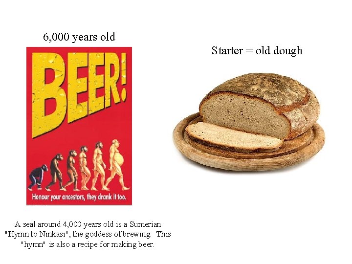 6, 000 years old Starter = old dough A seal around 4, 000 years