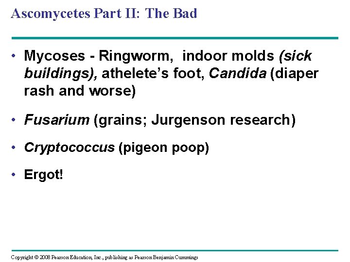 Ascomycetes Part II: The Bad • Mycoses - Ringworm, indoor molds (sick buildings), athelete’s