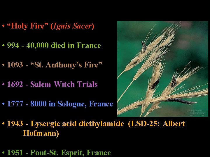  • “Holy Fire” (Ignis Sacer) • 994 - 40, 000 died in France