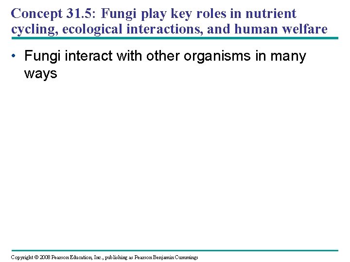 Concept 31. 5: Fungi play key roles in nutrient cycling, ecological interactions, and human Concept 31. 5: Fungi play key roles in nutrient cycling, ecological interactions, and human