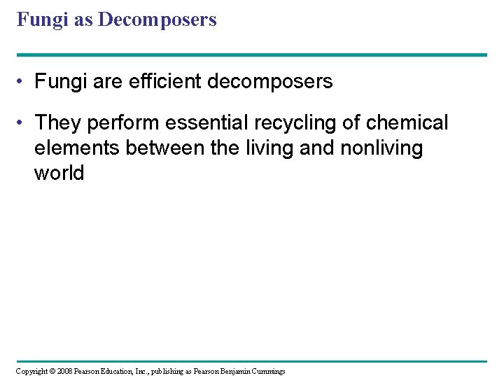 Fungi as Decomposers • Fungi are efficient decomposers • They perform essential recycling of