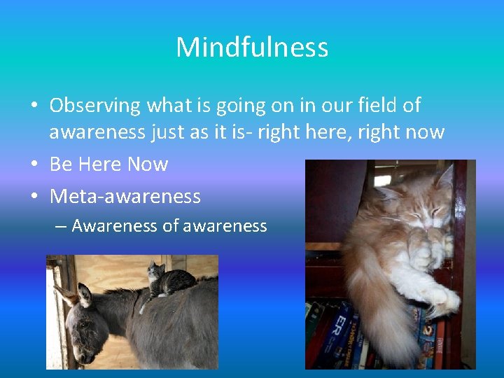 Mindfulness • Observing what is going on in our field of awareness just as Mindfulness • Observing what is going on in our field of awareness just as