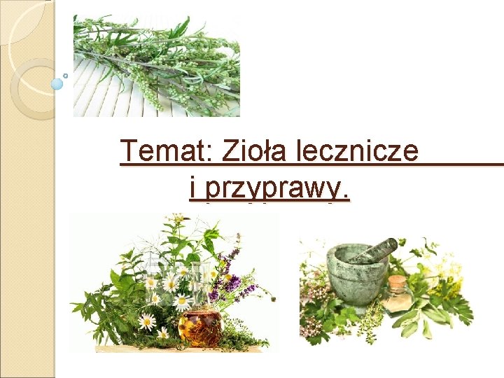 Temat: Zioła lecznicze i przyprawy. 