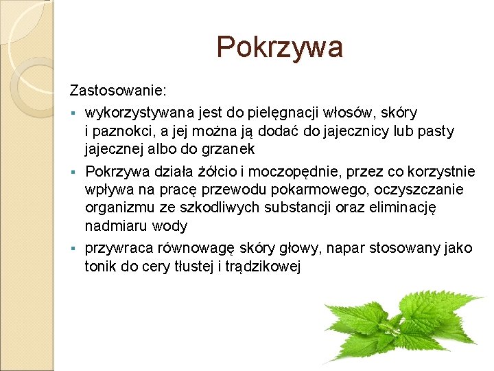 Pokrzywa Zastosowanie: § wykorzystywana jest do pielęgnacji włosów, skóry i paznokci, a jej można