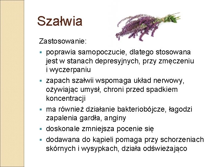 Szałwia Zastosowanie: § poprawia samopoczucie, dlatego stosowana jest w stanach depresyjnych, przy zmęczeniu i