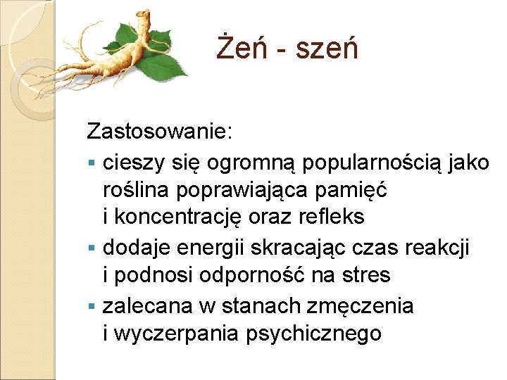 Żeń - szeń Zastosowanie: § cieszy się ogromną popularnością jako roślina poprawiająca pamięć i