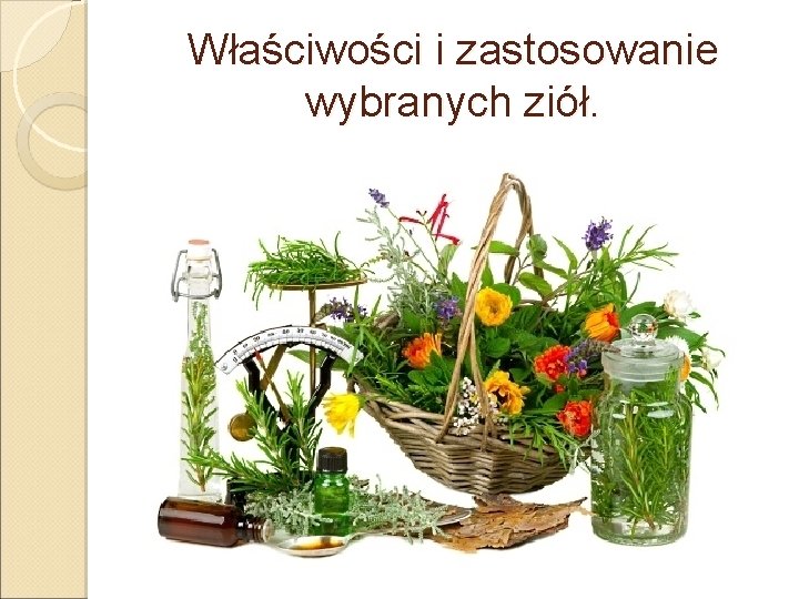 Właściwości i zastosowanie wybranych ziół. 