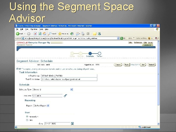 Using the Segment Space Advisor 