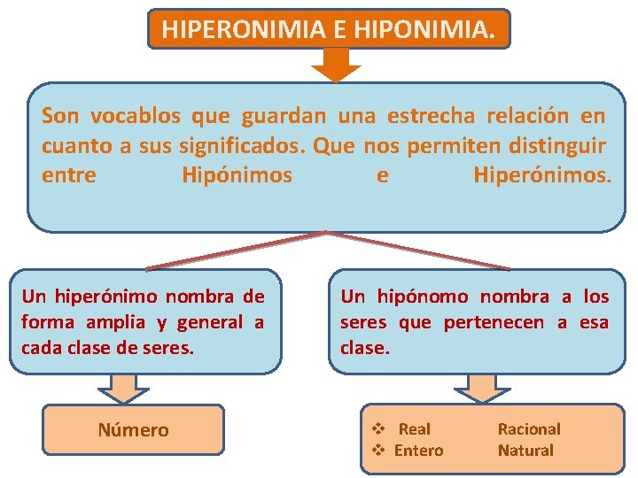 HIPERONIMIA E HIPONIMIA. Son vocablos que guardan una estrecha relación en cuanto a sus